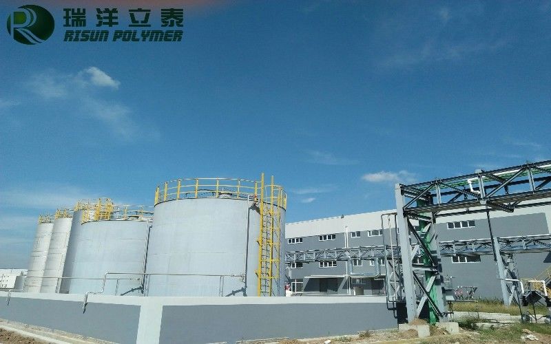 Risun Polymer China Co.,Ltd linea di produzione in fabbrica